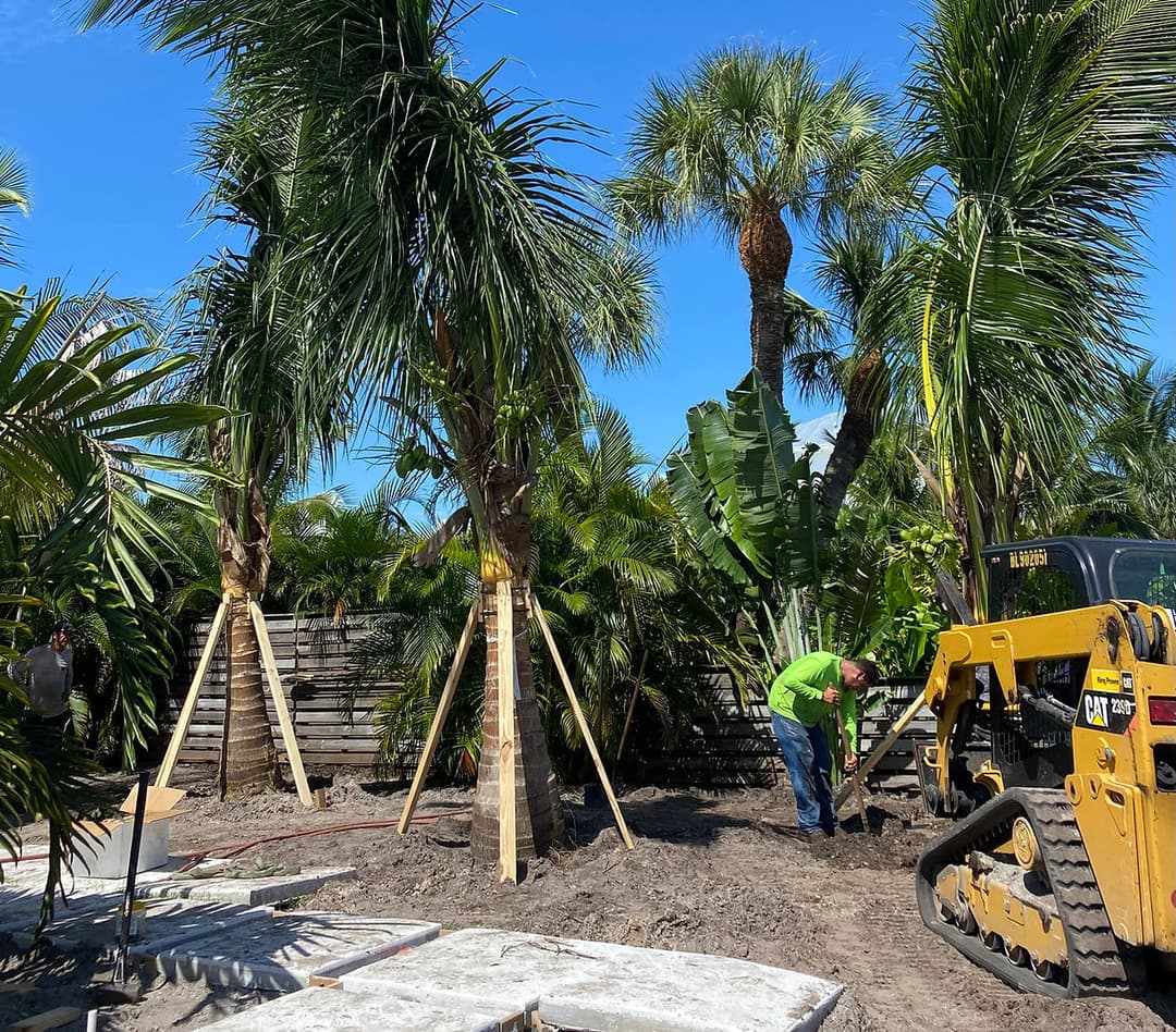 About Coastal Concepts Landscape